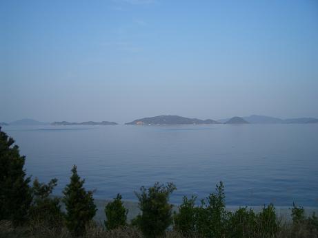 img20060326_1.jpg