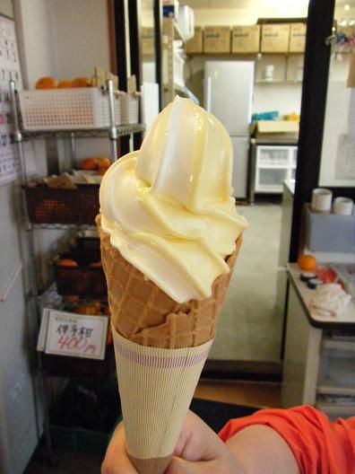 平成25年3月28日撮影 020
