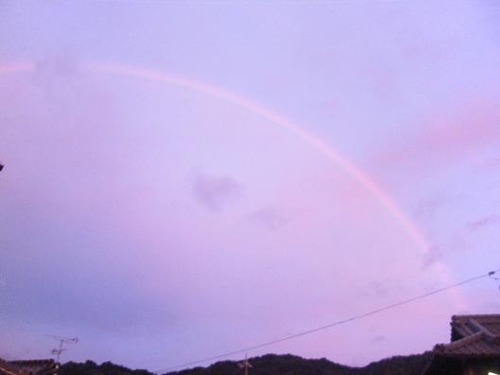 7月18日19:20撮影