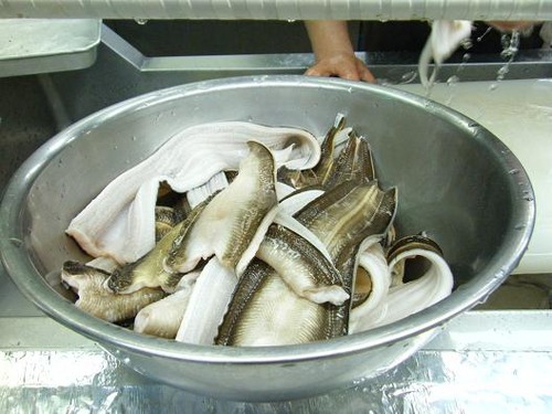 平成２4年4月27日撮影 004