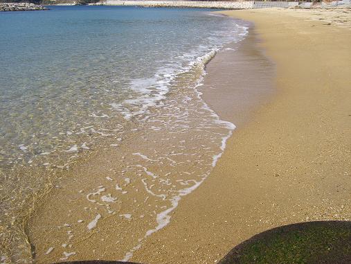 img20070228_6.jpg