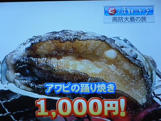img20100208_1.jpg