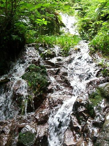 img20080701_3.jpg