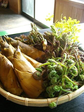 img20080325_8.jpg