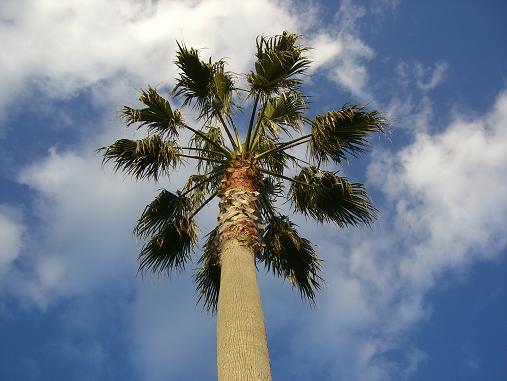img20070404.jpg