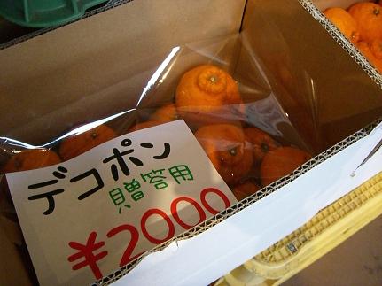 img20080429_2.jpg