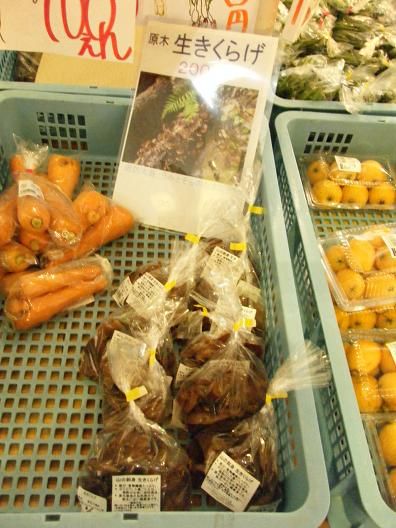 撮影平成24年6月22日 016