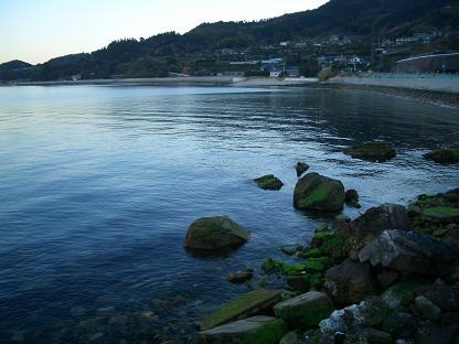 img20071227.jpg