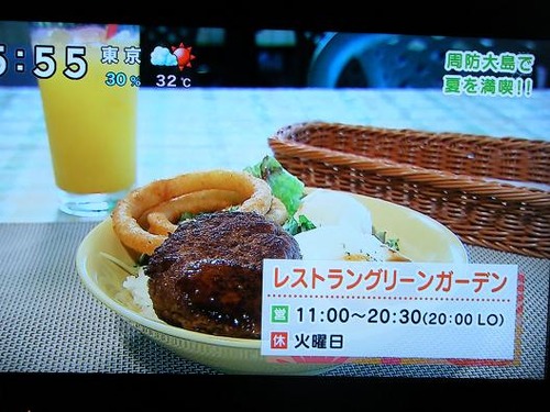 テレビを撮影 065