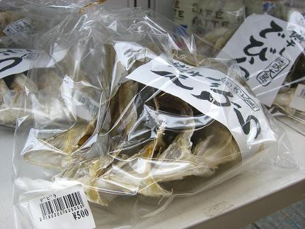 img20080429_7.jpg