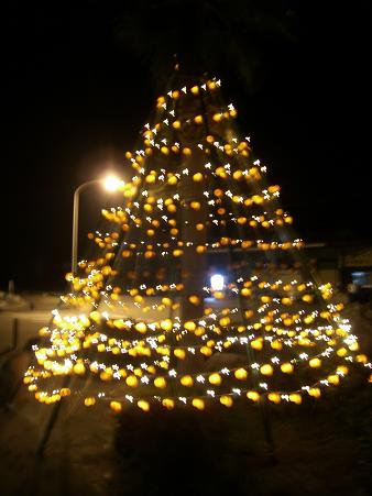 img20081103_2.jpg