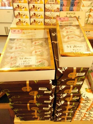 撮影平成24年6月22日 010