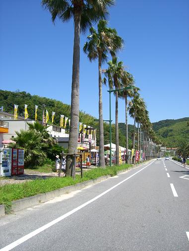 img20060729_8.jpg