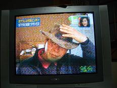 img20061208_3.jpg