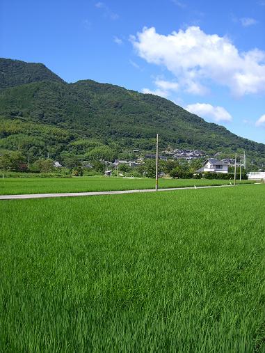 img20060731_9.jpg