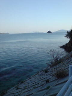 20090326074304.jpg