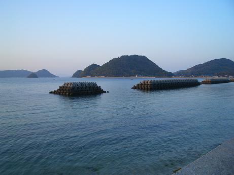 img20060422_2.jpg