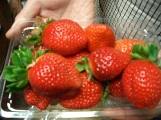 img20061214.jpg