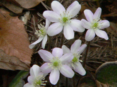 FILE0069.jpg