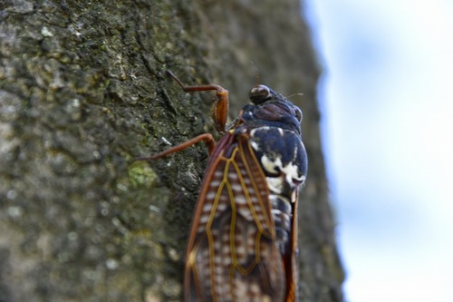 s-_DSC0469