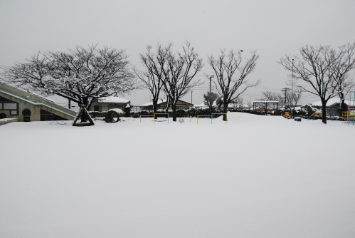 dsc_0003.jpg