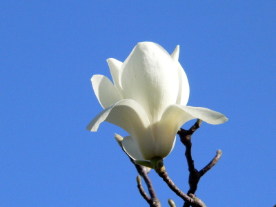 FILE0008.jpg