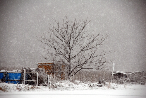 dsc_0019.jpg