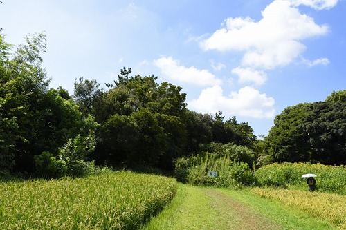 s-_DSC1297
