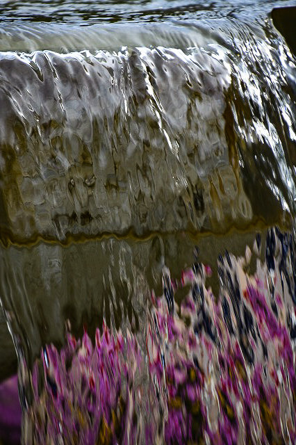 s-_DSC6479-2