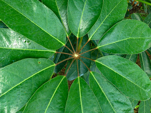 s-L1080587-2