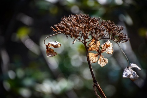 s-_DSC0066-2