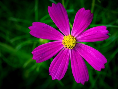 _DSC8451-2