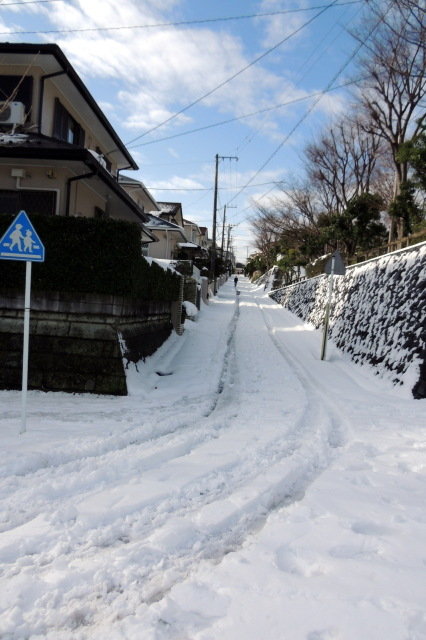 DSCN0008