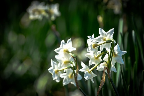 s-_DSC0025-2