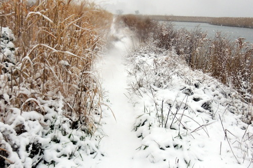 DSCN0009