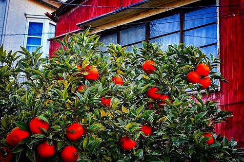 s-s-s-_DSC5435-2