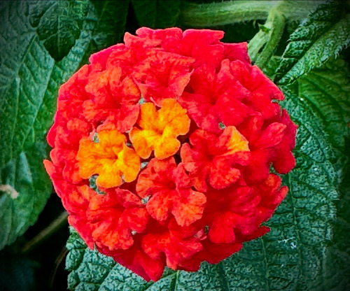 820AA5D0-37F8-4EB2-A73A-C9E6B08DA2C8