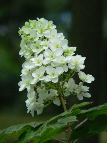 file0040.jpg