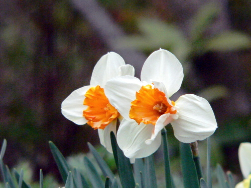 FILE0049.jpg