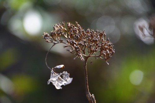 s-_DSC0072