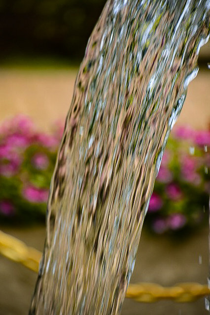 s-_DSC6493-2