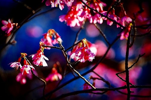 s-s-s-_DSC5366-2