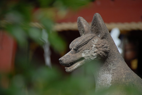 DSC_0000