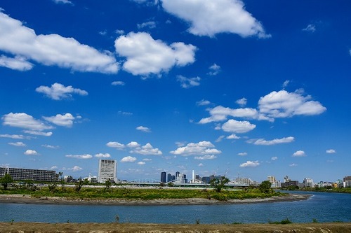 s-_DSC8446-2