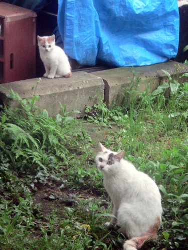 FILE0012.jpg