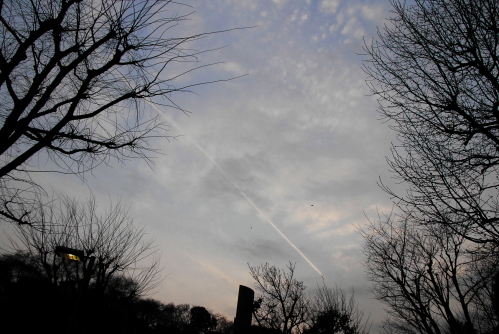dsc_0009.jpg