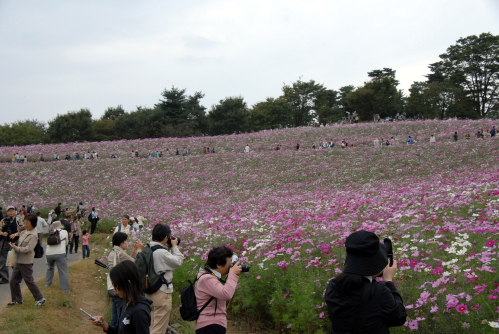 dsc_0003.jpg