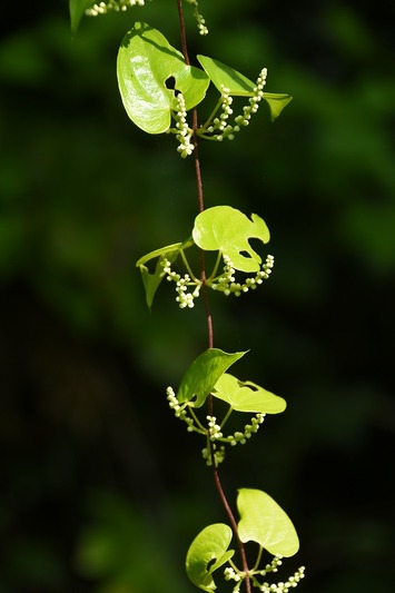 s-_DSC0209