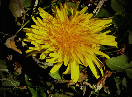 86586348-1EAF-44B9-B807-15BF19C4DD33