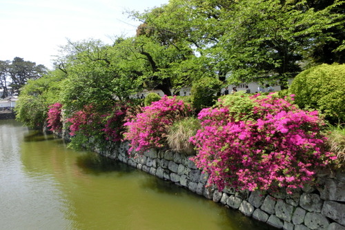 CIMG0006